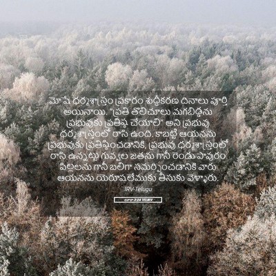Picture 05 - లూకా 2:24 TELIRV - మోషే ధర్మశాస్త్రం - Bible Verse Picture