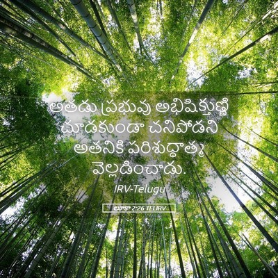 Picture 05 - లూకా 2:26 TELIRV - అతడు ప్రభువు - Bible Verse Picture