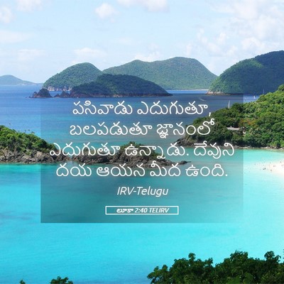 Picture 05 - లూకా 2:40 TELIRV - పసివాడు ఎదుగుతూ, - Bible Verse Picture