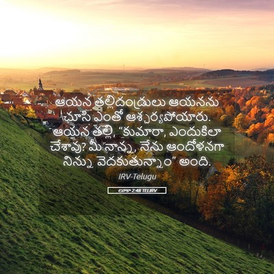 Picture 05 - లూకా 2:48 TELIRV - ఆయన తల్లిదండ్రులు - Bible Verse Picture