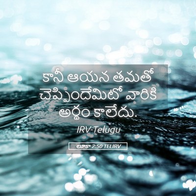 Picture 05 - లూకా 2:50 TELIRV - కానీ ఆయన తమతో - Bible Verse Picture