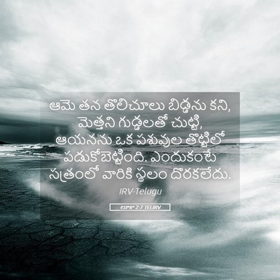 Picture 05 - లూకా 2:7 TELIRV - ఆమె తన తొలిచూలు - Bible Verse Picture