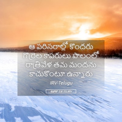 Picture 05 - లూకా 2:8 TELIRV - ఆ పరిసరాల్లో - Bible Verse Picture