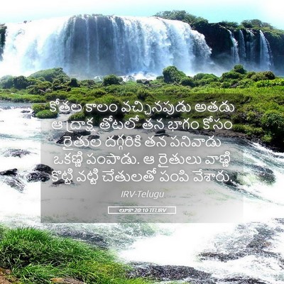 Picture 05 - లూకా 20:10 TELIRV - కోతల కాలం - Bible Verse Picture