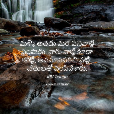 Picture 05 - లూకా 20:11 TELIRV - మళ్ళీ అతడు మరో - Bible Verse Picture