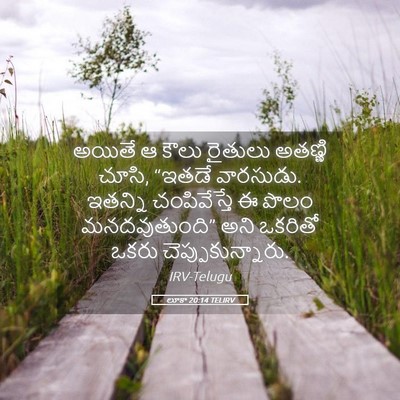 Picture 05 - లూకా 20:14 TELIRV - అయితే ఆ కౌలు - Bible Verse Picture