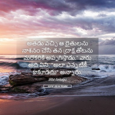 Picture 05 - లూకా 20:16 TELIRV - అతడు వచ్చి ఆ - Bible Verse Picture