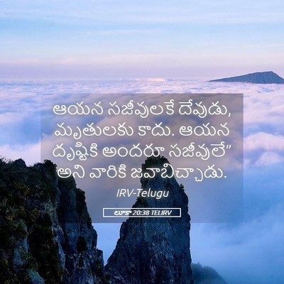 Picture 05 - లూకా 20:38 TELIRV - ఆయన సజీవులకే - Bible Verse Picture