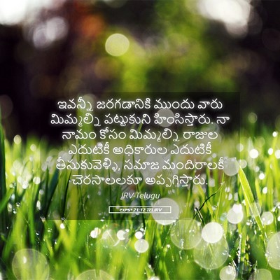 Picture 05 - లూకా 21:12 TELIRV - ఇవన్నీ జరగడానికి - Bible Verse Picture