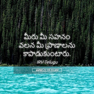 Picture 05 - లూకా 21:19 TELIRV - మీరు మీ సహనం వలన మీ - Bible Verse Picture
