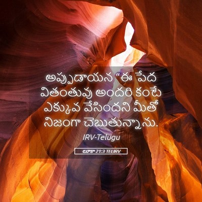 Picture 05 - లూకా 21:3 TELIRV - అప్పుడాయన “ఈ పేద - Bible Verse Picture
