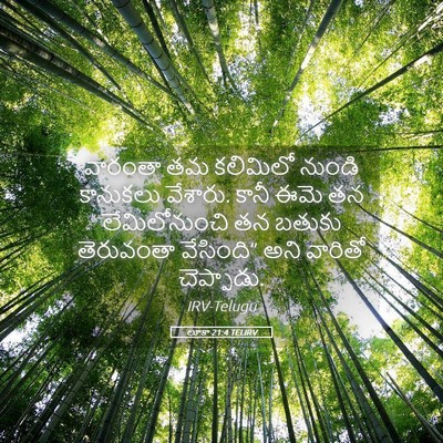 Picture 05 - లూకా 21:4 TELIRV - వారంతా తమ కలిమిలో - Bible Verse Picture