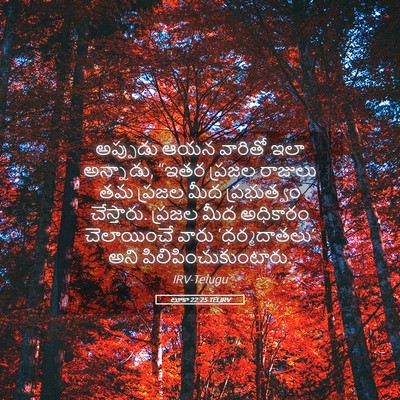 Picture 05 - లూకా 22:25 TELIRV - అప్పుడు ఆయన - Bible Verse Picture