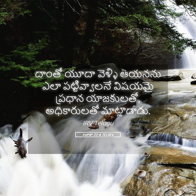 Picture 05 - లూకా 22:4 TELIRV - దాంతో యూదా వెళ్ళి - Bible Verse Picture