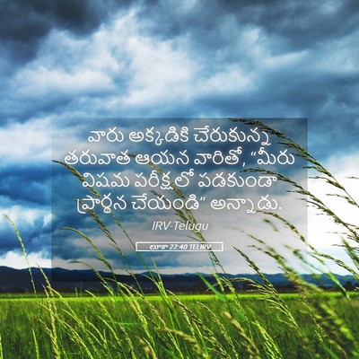 Picture 05 - లూకా 22:40 TELIRV - వారు అక్కడికి - Bible Verse Picture