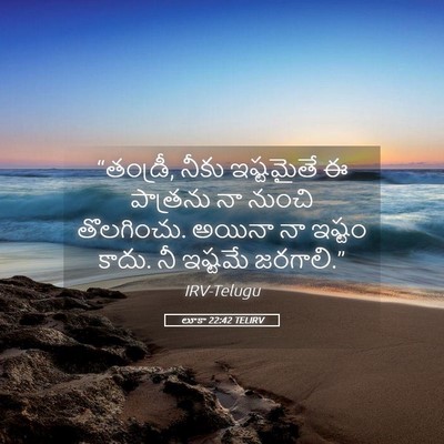 Picture 05 - లూకా 22:42 TELIRV - “తండ్రీ, నీకు - Bible Verse Picture