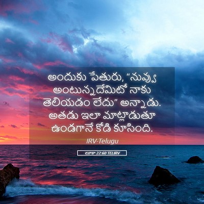 Picture 05 - లూకా 22:60 TELIRV - అందుకు పేతురు, - Bible Verse Picture