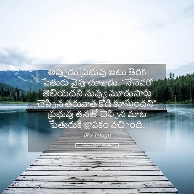 Picture 05 - లూకా 22:61 TELIRV - అప్పుడు ప్రభువు - Bible Verse Picture