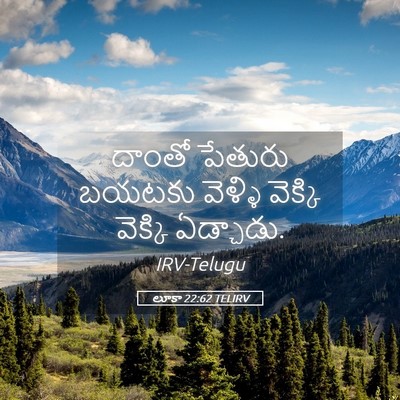 Picture 05 - లూకా 22:62 TELIRV - దాంతో పేతురు - Bible Verse Picture