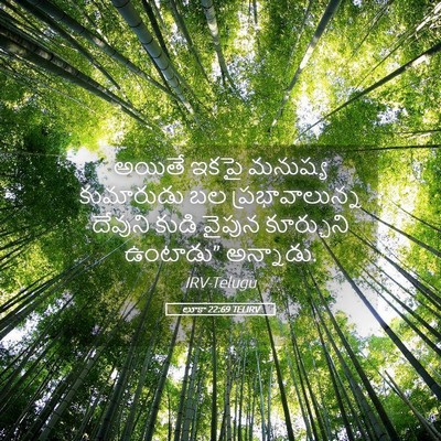 Picture 05 - లూకా 22:69 TELIRV - అయితే ఇకపై మనుష్య - Bible Verse Picture