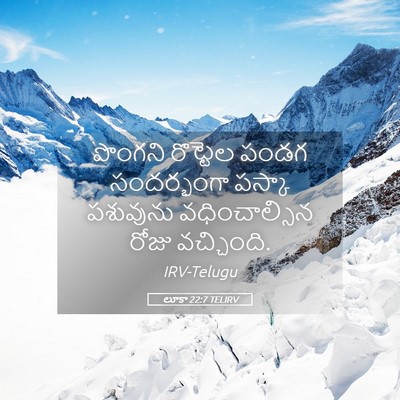 Picture 05 - లూకా 22:7 TELIRV - పొంగని రొట్టెల - Bible Verse Picture