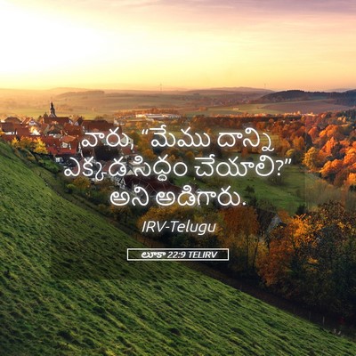 Picture 05 - లూకా 22:9 TELIRV - వారు, “మేము దాన్ని - Bible Verse Picture