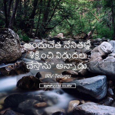 Picture 05 - లూకా 23:16 TELIRV - అందుచేత నేనితణ్ణి - Bible Verse Picture