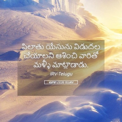 Picture 05 - లూకా 23:20 TELIRV - పిలాతు యేసును - Bible Verse Picture