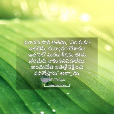 Picture 05 - లూకా 23:22 TELIRV - మూడవ సారి అతడు, - Bible Verse Picture