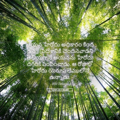 Picture 05 - లూకా 23:7 TELIRV - ఆయన హేరోదు - Bible Verse Picture