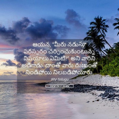 Picture 05 - లూకా 24:17 TELIRV - ఆయన, “మీరు నడుస్తూ - Bible Verse Picture