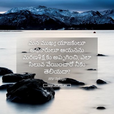 Picture 05 - లూకా 24:20 TELIRV - మన ముఖ్య యాజకులూ - Bible Verse Picture