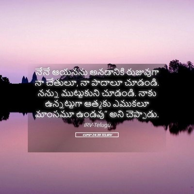 Picture 05 - లూకా 24:39 TELIRV - నేనే ఆయనను - Bible Verse Picture