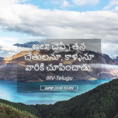 Picture 05 - లూకా 24:40 TELIRV - అలా చెప్పి తన - Bible Verse Picture