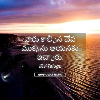 Picture 05 - లూకా 24:42 TELIRV - వారు కాల్చిన చేప - Bible Verse Picture