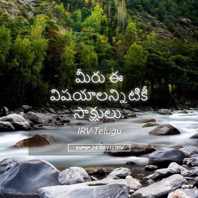 Picture 05 - లూకా 24:48 TELIRV - మీరు ఈ - Bible Verse Picture