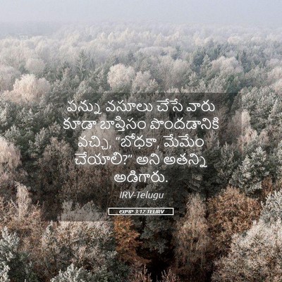Picture 05 - లూకా 3:12 TELIRV - పన్ను వసూలు చేసే - Bible Verse Picture