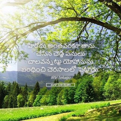 Picture 05 - లూకా 3:20 TELIRV - హేరోదు అంతవరకూ - Bible Verse Picture