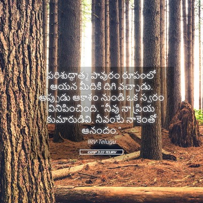 Picture 05 - లూకా 3:22 TELIRV - పరిశుద్ధాత్మ - Bible Verse Picture