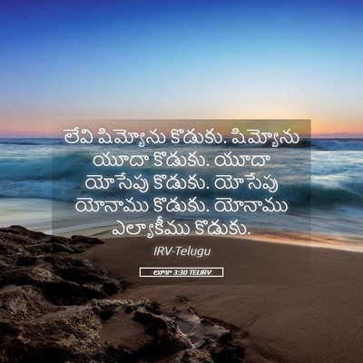 Picture 05 - లూకా 3:30 TELIRV - లేవి షిమ్యోను - Bible Verse Picture
