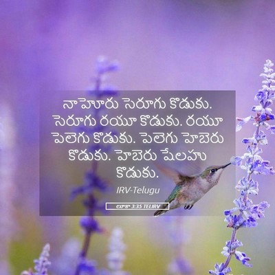 Picture 05 - లూకా 3:35 TELIRV - నాహోరు సెరూగు - Bible Verse Picture