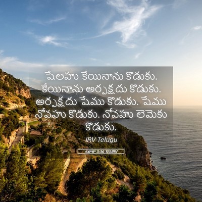 Picture 05 - లూకా 3:36 TELIRV - షేలహు కేయినాను - Bible Verse Picture