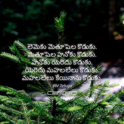 Picture 05 - లూకా 3:37 TELIRV - లెమెకు మెతూషెల - Bible Verse Picture