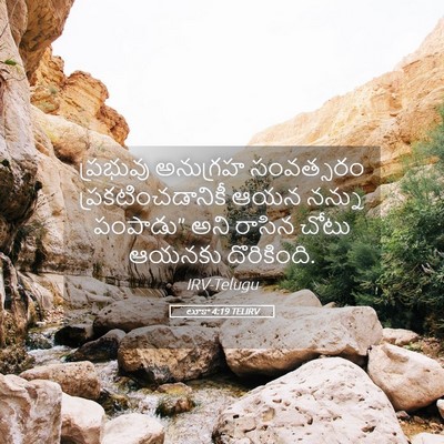 Picture 05 - లూకా 4:19 TELIRV - ప్రభువు అనుగ్రహ - Bible Verse Picture