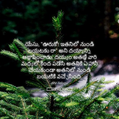 Picture 05 - లూకా 4:35 TELIRV - యేసు, “ఊరుకో! - Bible Verse Picture