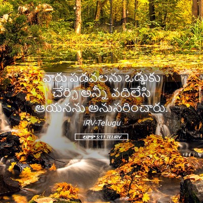 Picture 05 - లూకా 5:11 TELIRV - వారు పడవలను - Bible Verse Picture