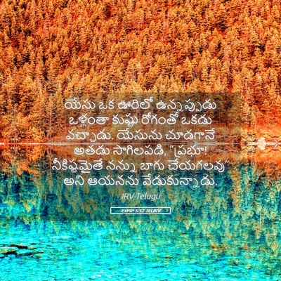Picture 05 - లూకా 5:12 TELIRV - యేసు ఒక ఊరిలో - Bible Verse Picture