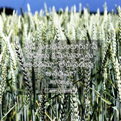 Picture 05 - లూకా 5:23 TELIRV - ఏది సులభమంటారు? - Bible Verse Picture