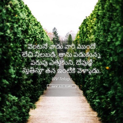 Picture 05 - లూకా 5:25 TELIRV - వెంటనే వాడు వారి - Bible Verse Picture