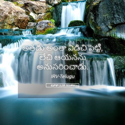 Picture 05 - లూకా 5:28 TELIRV - అతడు అంతా - Bible Verse Picture